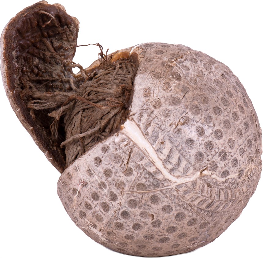 2021-08-CE-C-00177-0 (2021-08-CE-C-00177-0)