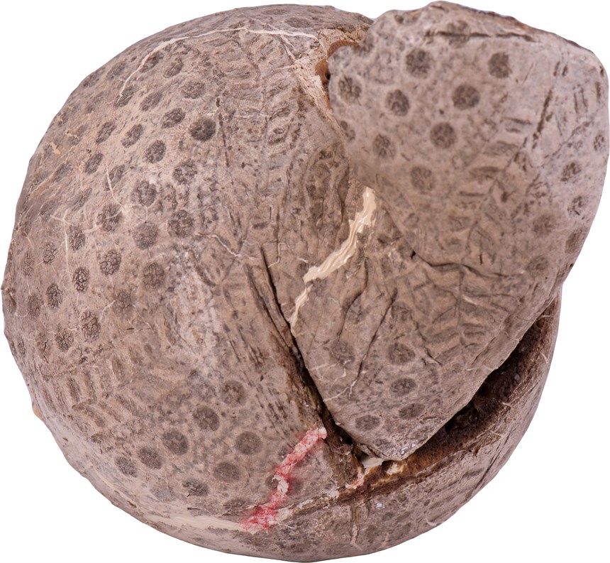 2021-08-CE-C-00177-3 (2021-08-CE-C-00177-3)