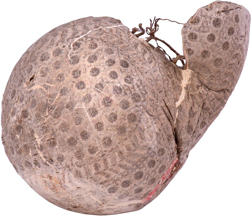 2021-08-CE-C-00177-4 (2021-08-CE-C-00177-4)