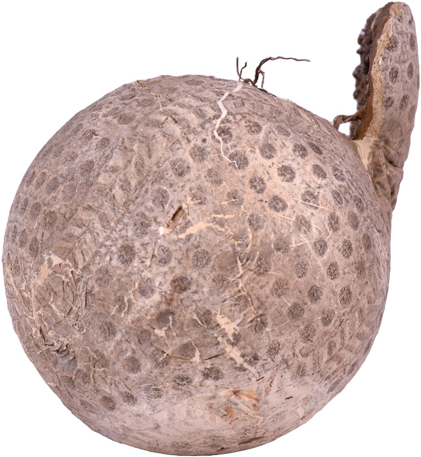 2021-08-CE-C-00177-5 (2021-08-CE-C-00177-5)