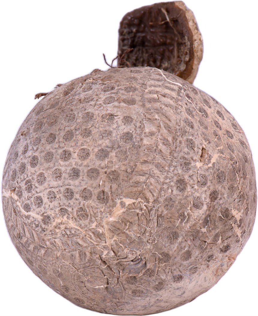 2021-08-CE-C-00177-6 (2021-08-CE-C-00177-6)