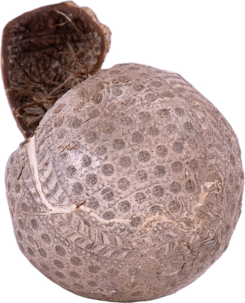 2021-08-CE-C-00177-7 (2021-08-CE-C-00177-7)