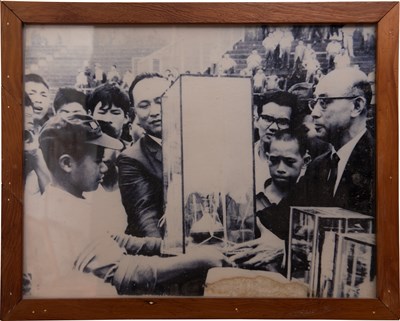 紅葉國小少棒隊「1965年第17屆全省學童棒球賽」頒獎照片