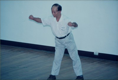 賴醒民1996年臺灣省中部地區白鶴拳第12次聯誼會示範白鶴拳照片(二)