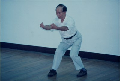 賴醒民1996年臺灣省中部地區白鶴拳第12次聯誼會示範白鶴拳照片(三)