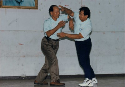賴醒民1995年臺灣省中部地區白鶴拳第11次聯誼會示範白鶴拳照片(一)