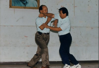 賴醒民1995年臺灣省中部地區白鶴拳第11次聯誼會示範白鶴拳照片(二)
