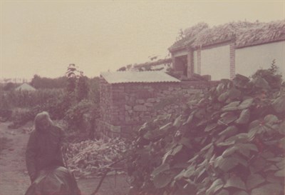 傅松南1985年返山東探老母親照片