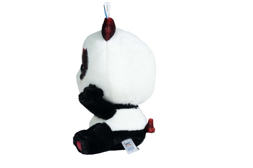 2024-01-OT-A-00043-5 (2024-01-OT-A-00043-5)