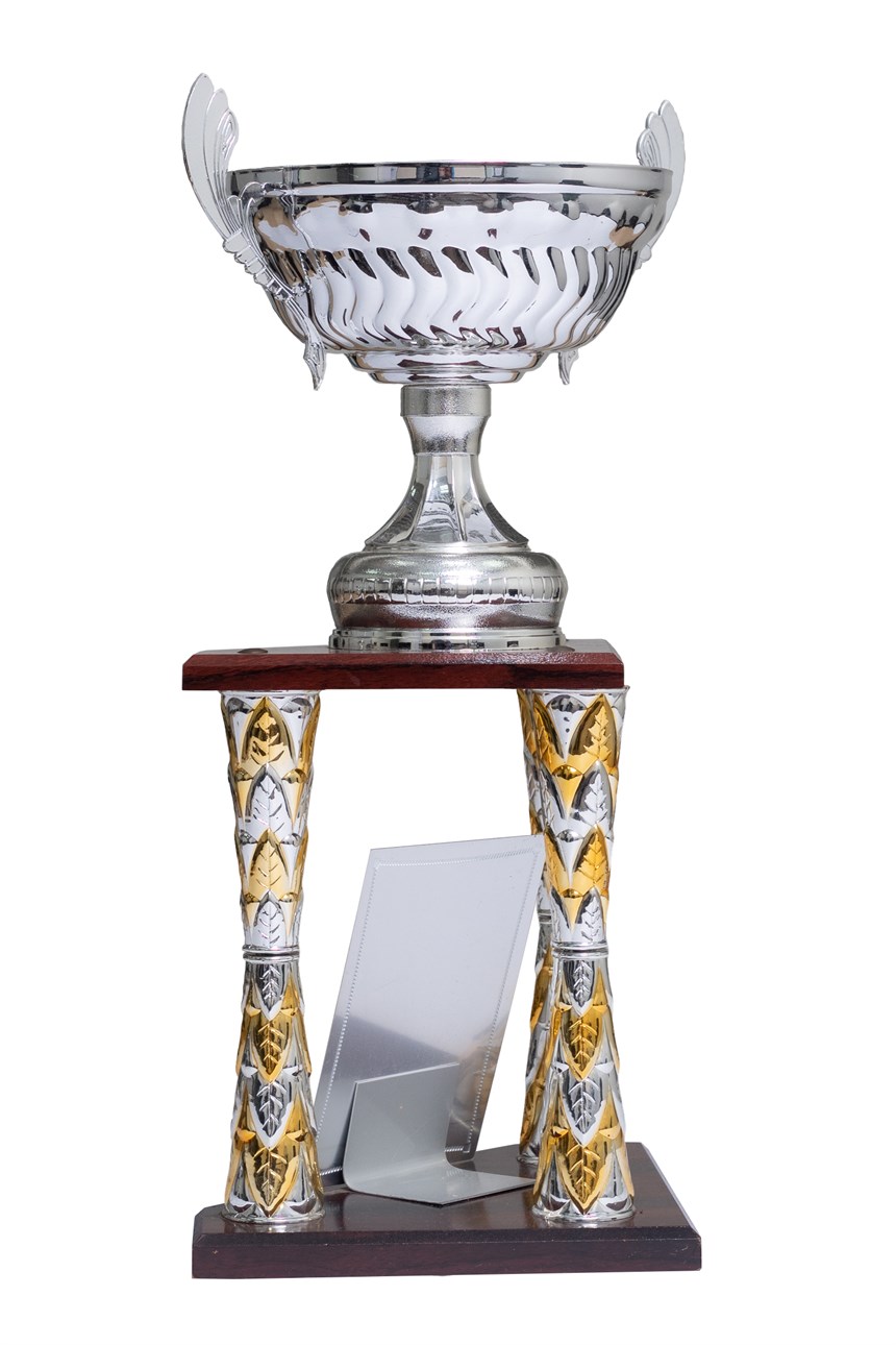 2024-03-HA-A-00001-3 (2024-03-HA-A-00001-3)